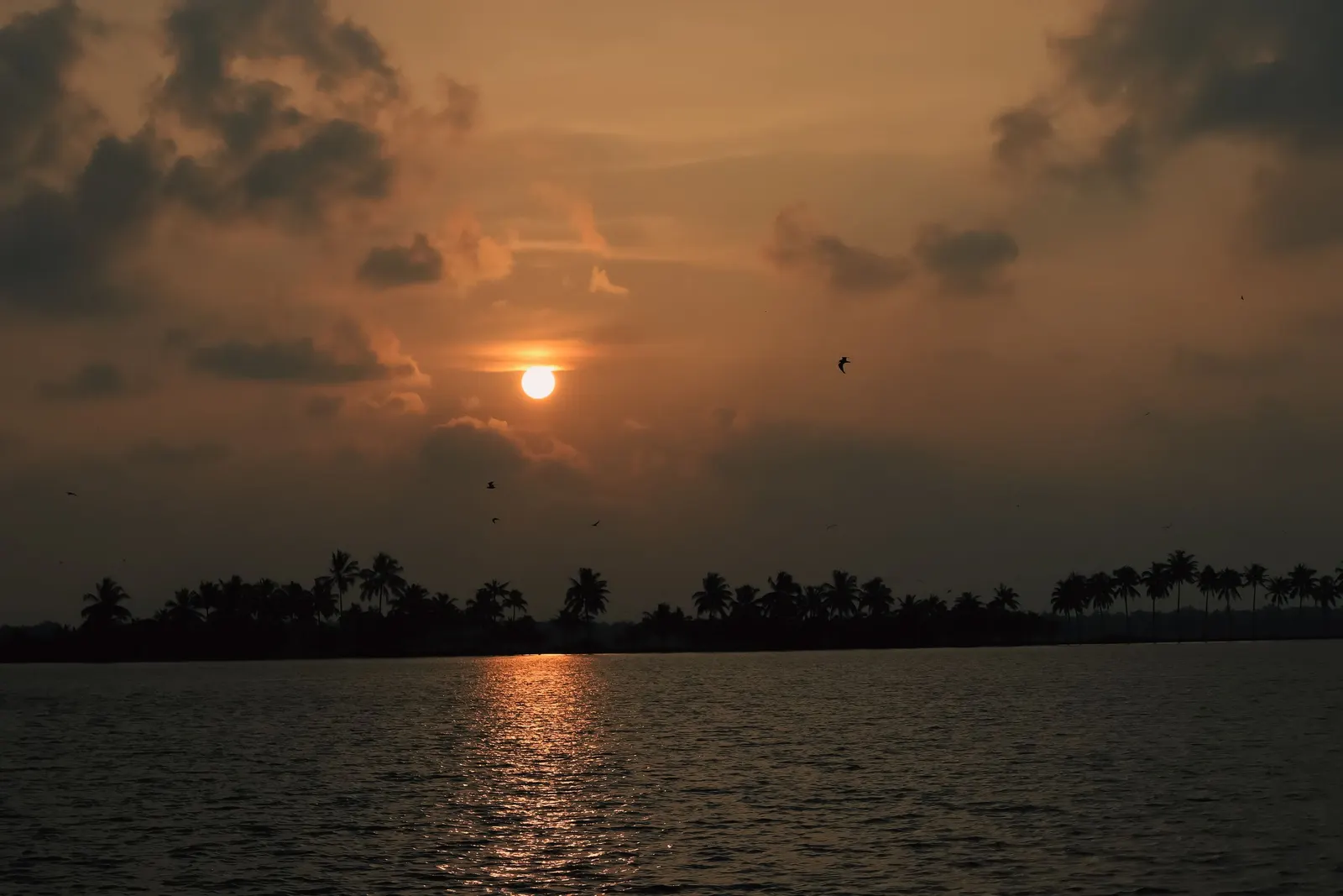 Kerala backwaters at sunset