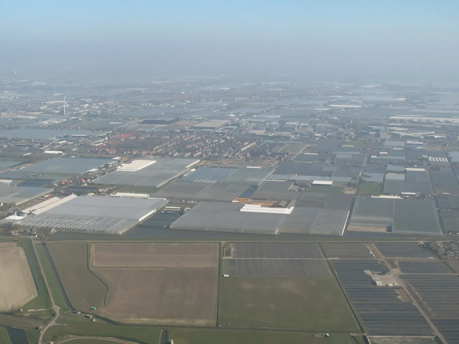 Greenhouses at Maasdijk, Westland
