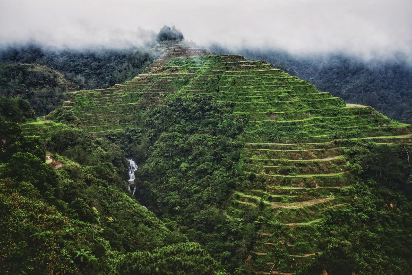 Banaue rice terraces