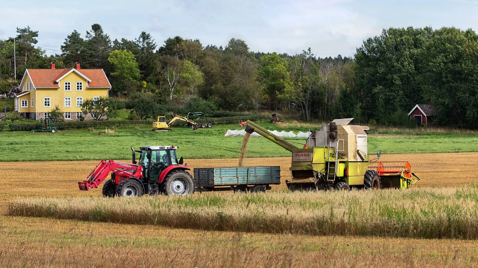 Oat harvest in Brastad